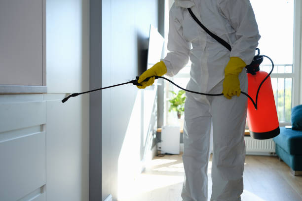 Best Mold Remediation for Specific Building Types in Pleasant Hill, CA