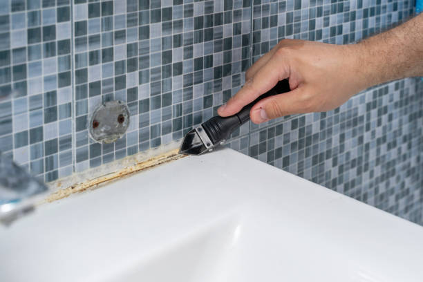 Best Mold Testing and Inspection Services in Pleasant Hill, CA