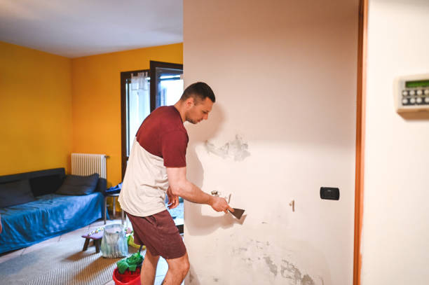 Best Health and Safety Mold Remediation in Pleasant Hill, CA