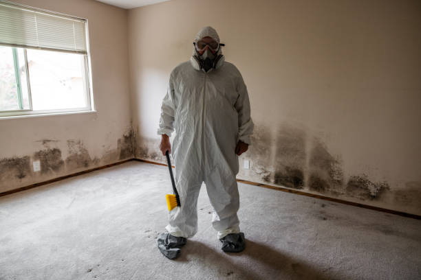 Best Preventive Mold Services in Pleasant Hill, CA
